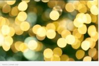 Light Up the Fairgrounds & Festival of the Trees