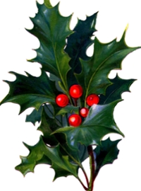 Heath Ladies Aid Holiday Fair 