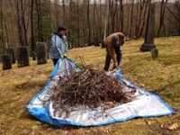 Spring CleanUp Buckland Union Cemetery Assoc. 
